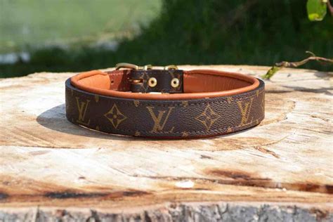 louis vuitton hot stamping dog|MM Collar .